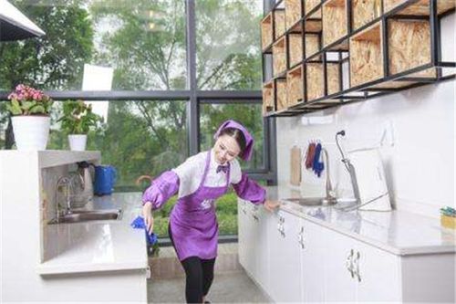 一加二家政加盟优势 开启家政服务创业新篇章